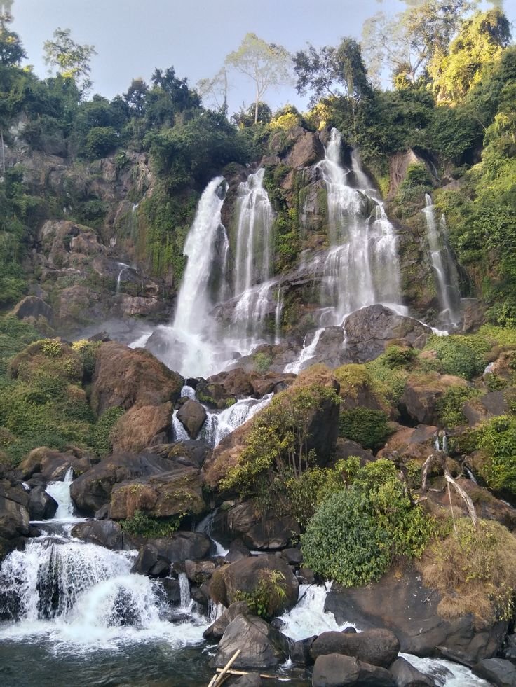 Diphu